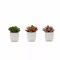 Set of 3 3" tall Mini Faux Succulent Plants with Off White Ceramic Pots Wedding